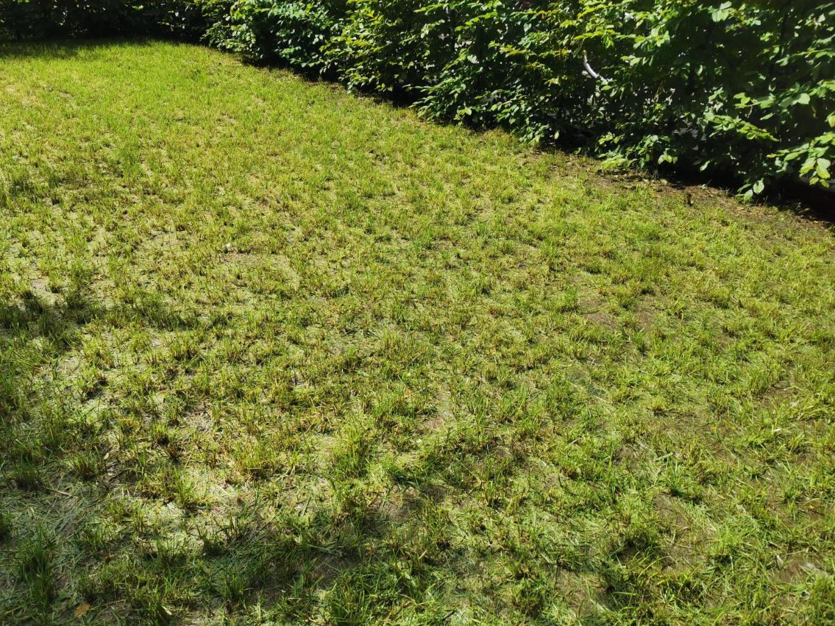 Apartment Near Fair And Central City In Few Min, With Garden Frankfurt am Main Exterior photo
